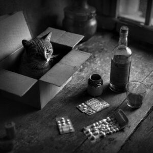 What If Penrose Is Asking The Wrong Question?